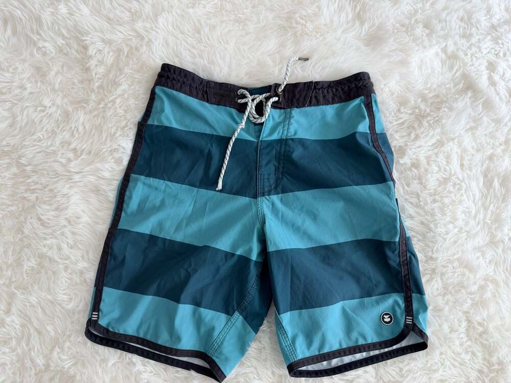 Jetty Striped Board Shorts Size 26